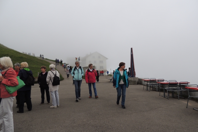 Rigi Juni 2015