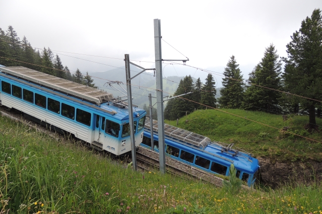 Rigi Juni 2015