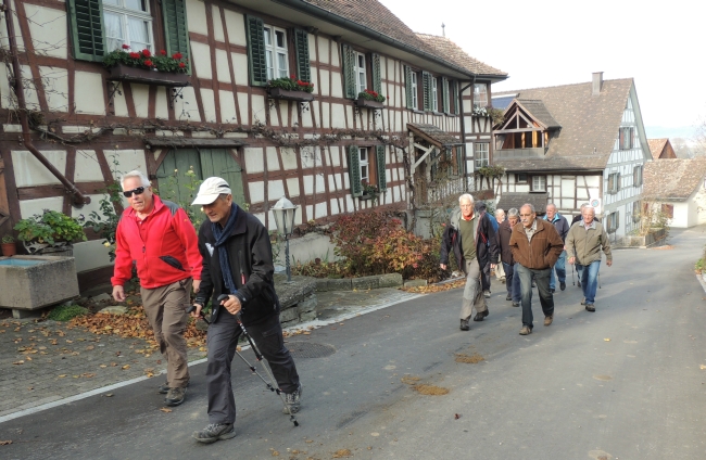 Novemberwanderung Triboltingen-Kuhhorn