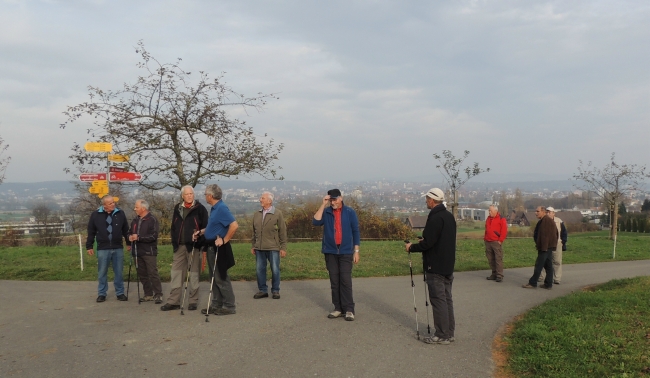 Novemberwanderung Triboltingen-Kuhhorn