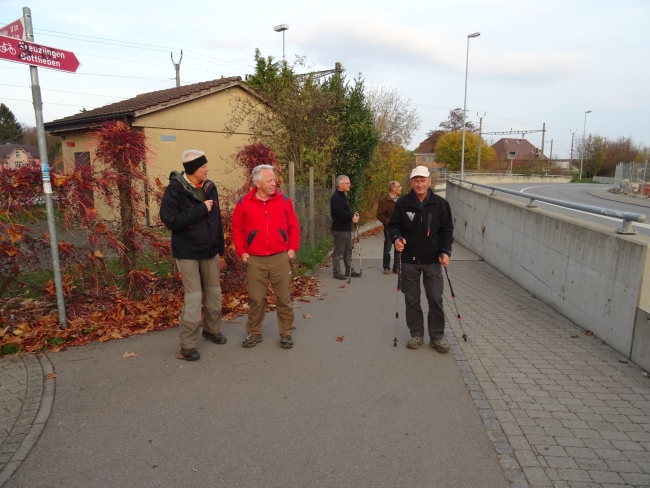Novemberwanderung Triboltingen-Kuhhorn