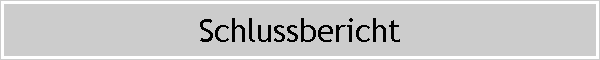 Schlussbericht